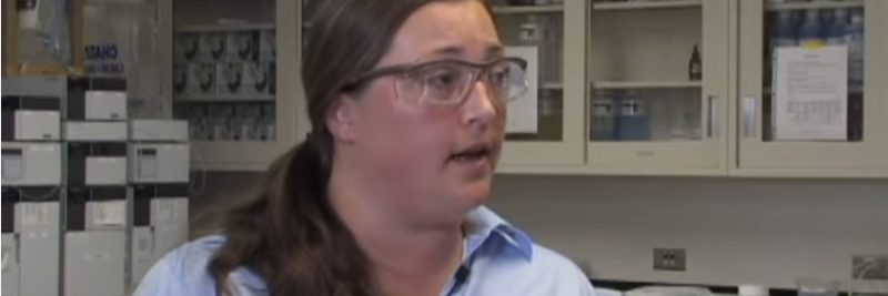 Corn Ethanol Pros and Cons Corn Ethanol Pros and Cons